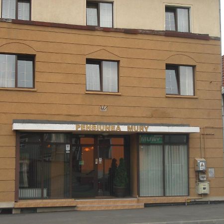 Pensiunea Mury Braşov Exterior foto